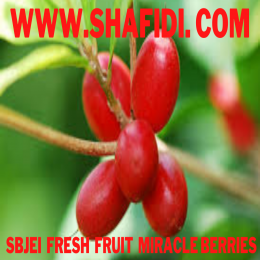 FRESH MIRCLE BERRIES